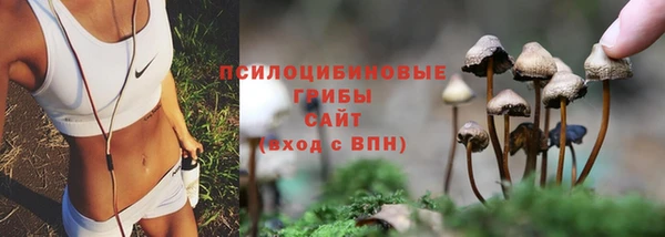 jwh Алексеевка