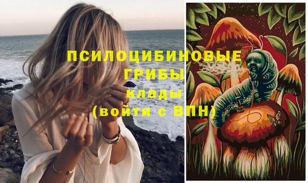 прущая мука Алзамай