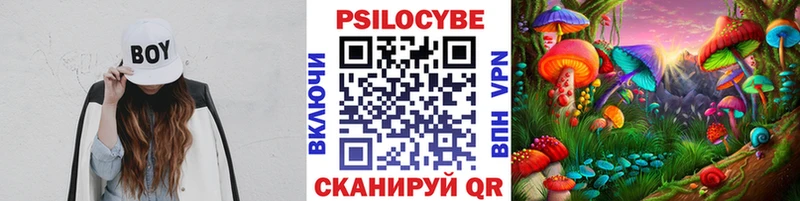 закладки  Николаевск  hydra сайт  Псилоцибиновые грибы Psilocybine cubensis 